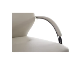 Кресло RV ДИЗАЙН Алонзо-СФ / Alonzo-CF (С1711) images