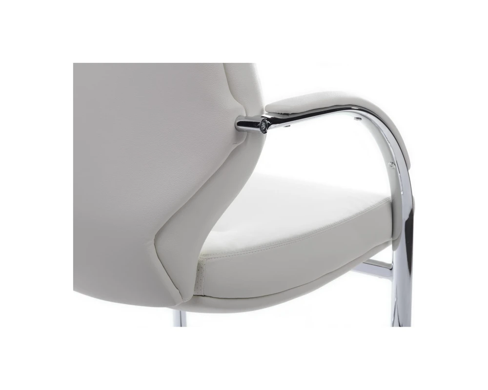 Кресло RV ДИЗАЙН Алонзо-СФ / Alonzo-CF (С1711)