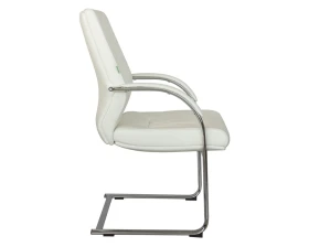 Кресло RV ДИЗАЙН Алваро-СФ / Alvaro-SF (C 1815) images