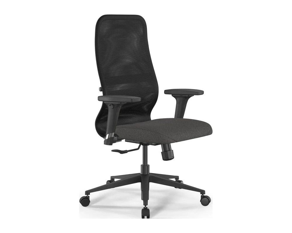 Кресло ErgoLife SynchroSit 8 B2-9D M25.B11.G19.W02 Сетка/Ткань, Черный/Темно-серый