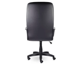 Кресло Идра В пластик-люкс images